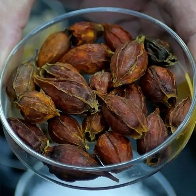 圖片10.jpg undefined